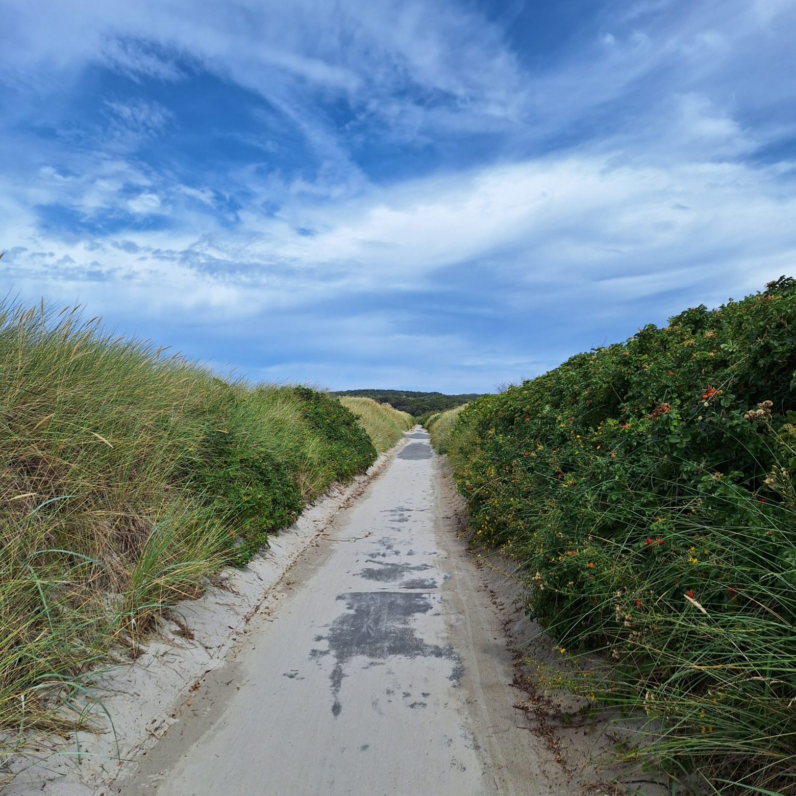 Dein Weg